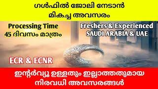 GULF JOBS MALAYALAM 2024|JOB VACANCY IN SAUDI ARABIA|DUBAI JOBS MALAYALAM|JOBS IN UAE 2024|MY JOB