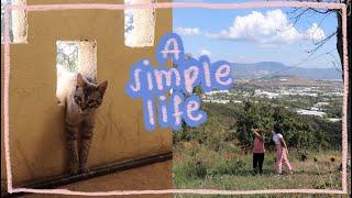 My simple life in Mexico (very comforting)