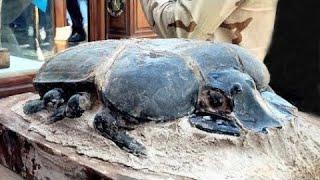 12 Most Amazing Archaeological Finds