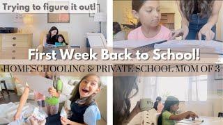 We’re Doing Homeschool & Private School, Errands, and a KNOWLEDGE CRATE unboxing!