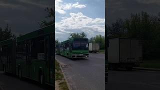 МАЗ-105Респект Роме!#maz #automobile #liaz
