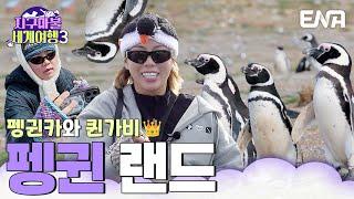 펭귄 보면 궁전으로 갈 수도 있어가비와 곽튜브의 펭귄 투어 #지구마불세계여행3 EP.14