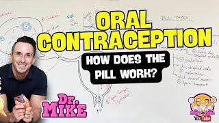 Oral Contraceptives | How Does the Pill Work?