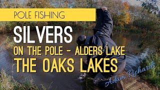 Winter Silver Fish - Alders Lakes The Oaks