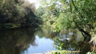 Land For Sale: Black River Hunting Land (PRICE REDUCED)