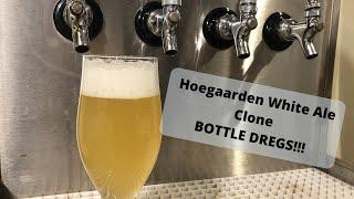 Cloning Hoegaarden White Beer from Bottle Dregs - Brew Dudes