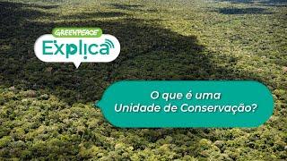 O que é uma Unidade de Conservação? - Greenpeace Explica