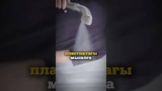 Үйді тазалаудың ең оңай жолы қандай? ПАРОЧИСТИТЕЛЬ ДЛЯ ДОМА