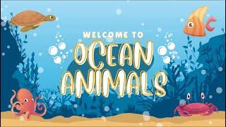 Best Toddler Educational Video | Learn Ocean Animals with Fun Kids Nursery Songs 