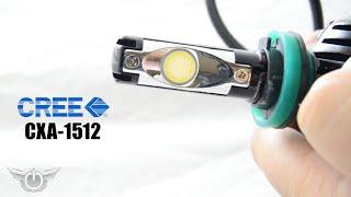 ORACLE Lighting LED Headlight Bulbs Conversion Kit Demo + Installation DIY