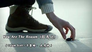 You Are The Reason / 因為你  (Calum Scott /卡魯姆·史考特) (4K 5.1聲道) (中文翻譯)