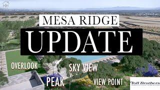 Mesa Ridge Update