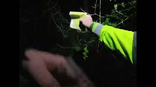Orienteering - Colden common - Full Run