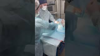 Кошка, 9 месяцев-плановое однопрокольное ОГЭ эндоскопически #ветеринарнаяклиника #липецк #краснодар