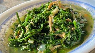 Sayur Paku Pakis Tumis Ikan Bilis || SELERA KAMPUNG