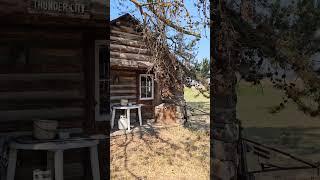 Allen Cabin moved from remote location in Idaho.
