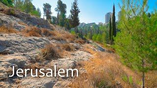 Amazing Jerusalem: A Journey from Ein Kerem National Park to the Graves of Israel's Early Leaders.