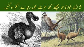 5 Recently Extinct Species of Animals | Urdu - Hindi