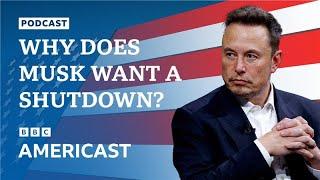 Why has Elon Musk been pushing for a government shutdown? | BBC News