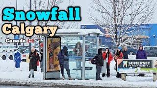 Snowfall in Calgary Alberta Canada  #canada #calgary #Alberta