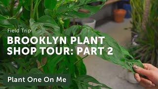 Brooklyn Plant Shop Tour: Chelsea Garden Center (2/6) — Ep. 219