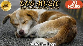 20 HOURS of Dog Calming Music For DogsDog Separation Anxiety ReliefDog  Music TVHealingmate