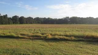 Battle of Raymond, MS- Federal Artillery Position- 28Aug16