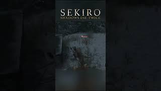 Kinda addicted to this game... #sekiro #sekiroshadowsdietwice #fromsoftware