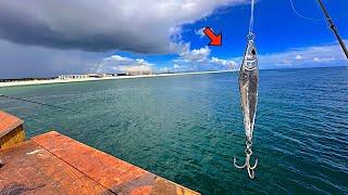 I TOSSED a JIG! off the GULF STATE PIER and THIS is What I CAUGHT!