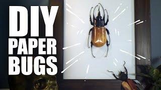 How to make DIY Paper Bugs