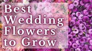 BEST FLOWERS We Grow For Wedding Design | Fireside Chat | PepperHarrow