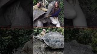 世界上最大的乌龟，一天能吃半吨食物！Top 5 Biggest Tortoise In the world！#世界之最 #漲知識 #top #盤點 #科普