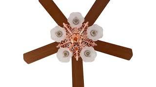 Modern decorative ceiling fan