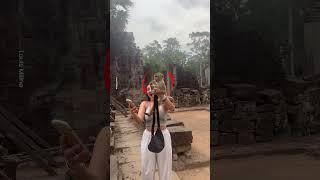 Cheeky Monkey Steals Woman's Drink 