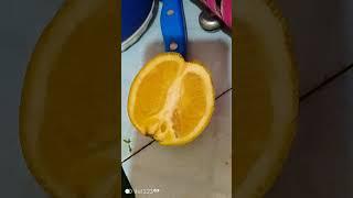 Delicious orange, MercyNguku The World Traveller 