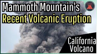 The Recent Volcanic Eruption at Mammoth Mountain in California