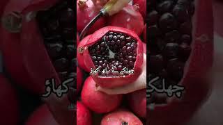 Anar Khane Ke Fayde ||Islamik Whatsapp Status||ak Deen ki  baten{علیشا خان}️#trendingshorts