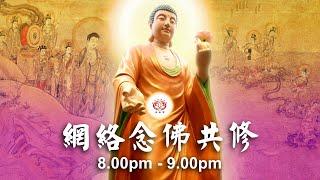 【同步】净土宗网络念佛【第1689天】+ 开示视频《乐于念佛》 01-11-2024 Online Recitation Session（晚上8pm-9pm (GMT+8))【打开CC字幕】