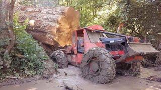 Dangerous Idiots Monster Logging Wood Truck Driving Skills, Fastest Climbing Truck Heavy Equipment