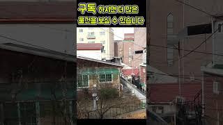 강북구 번동. 도심 속 전원주택