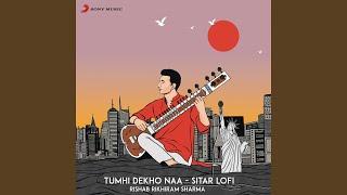 Tumhi Dekho Naa (Sitar Lofi)