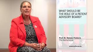 What should be the role of a patient advisory board?