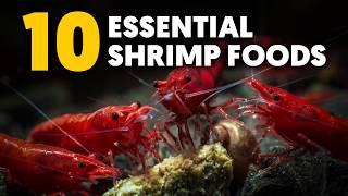 Dwarf Shrimp  These 10 Essential Shrimp Foods Keep My Shrimp Thriving