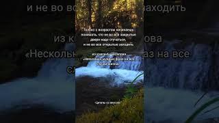 Не стучитесь в закрытую дверь #мудрость #цитаты #цитатыпрожизнь #аффирмации #этожизнь #отношения #1k