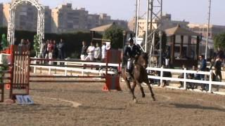 Ahmed Yehia Levinio 135cm 4/1/2013