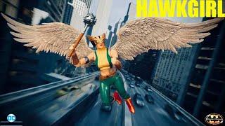 McFarlane DC Multiverse Hawkgirl Collectors Edition Action Figure Review & Comparison
