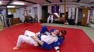 Auckland BJJ