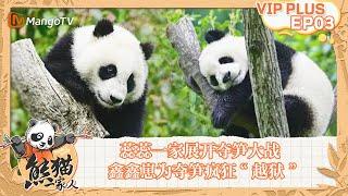 FULL｜蕊蕊一家展开夺笋大战 鑫鑫崽为夺笋疯狂“越狱”｜《熊猫一家人Panda‘s Family》｜EXTRA 03｜MangoTV