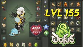 PVP lvl 155 sur DOFUS 3 (4000 PDV 12PA)