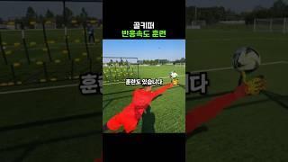 미친 반응속도란 이런 것